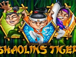 Shaolins Tiger